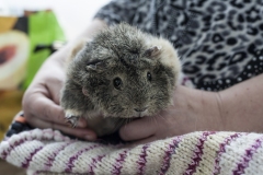IMG_9474